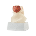 E.T. - 170g